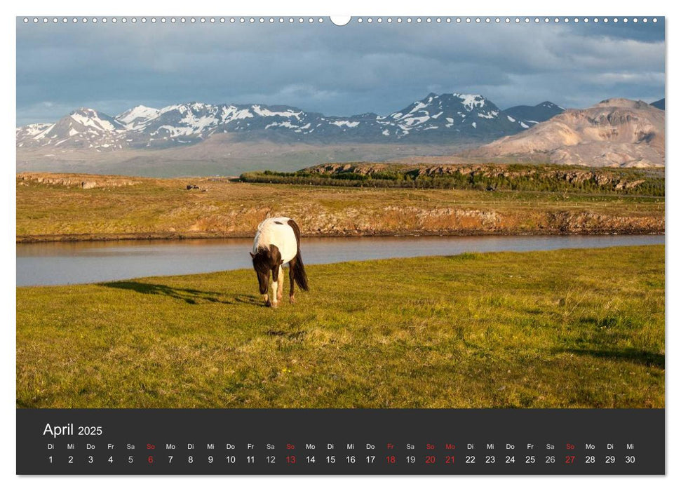 Island Highlights (CALVENDO Premium Wandkalender 2025)