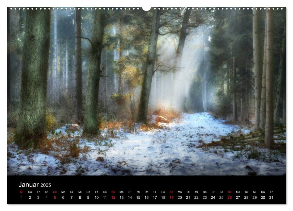 Waldkalender (CALVENDO Premium Wandkalender 2025)