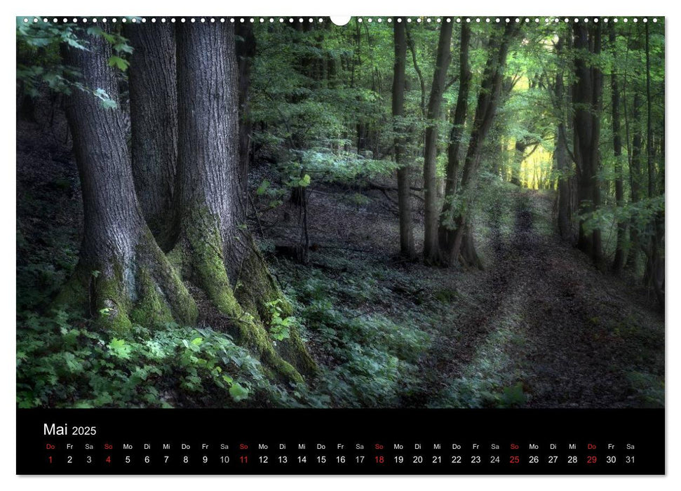 Waldkalender (CALVENDO Premium Wandkalender 2025)