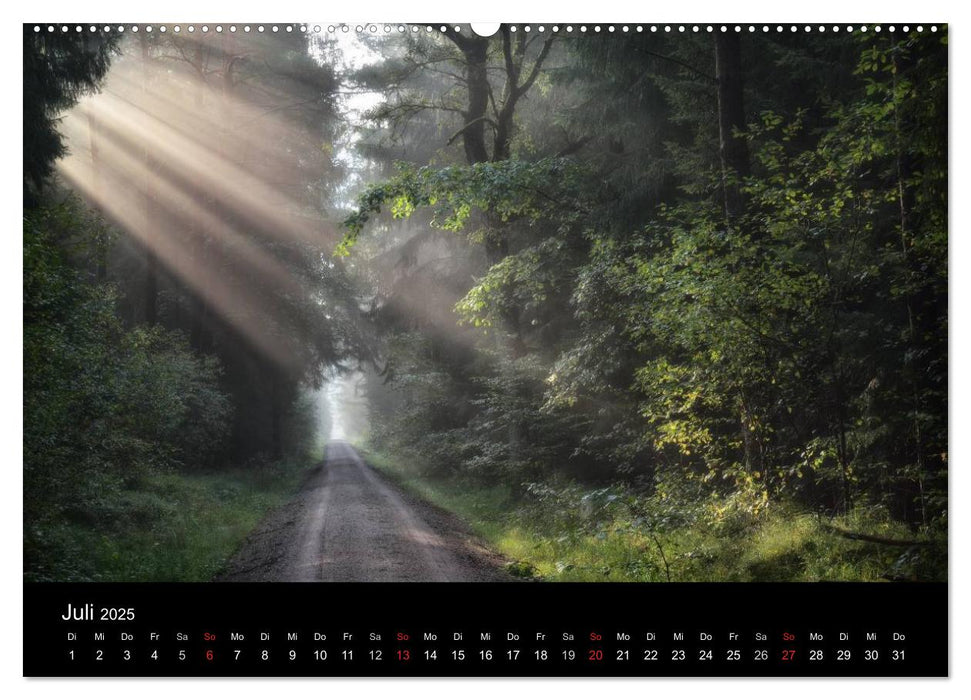 Waldkalender (CALVENDO Premium Wandkalender 2025)