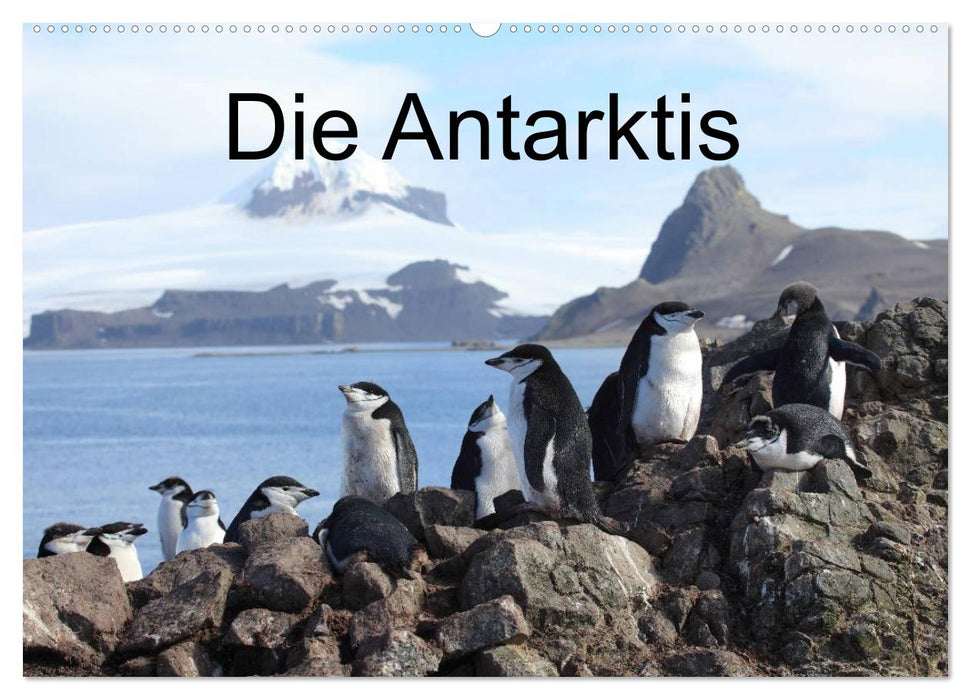 Die Antarktis (CALVENDO Wandkalender 2025)