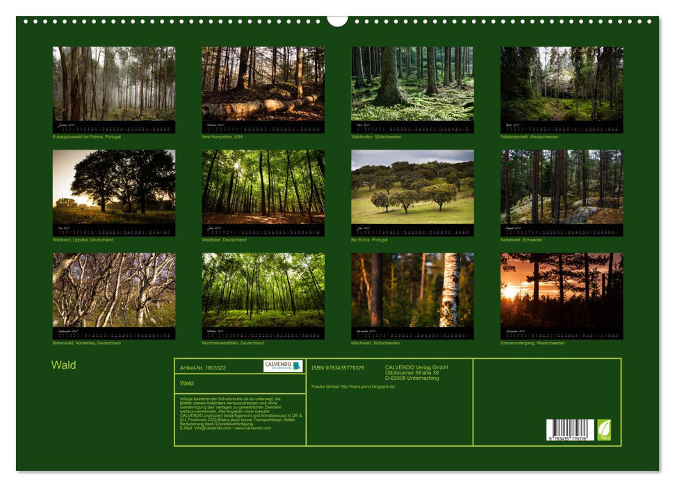 Wald (CALVENDO Wandkalender 2025)