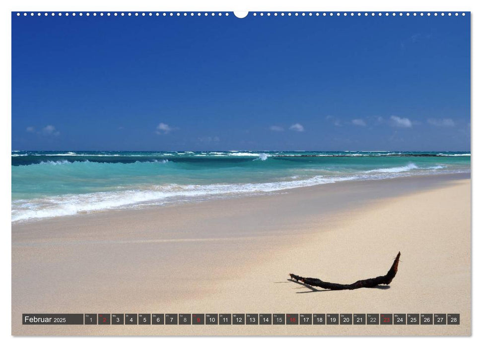 Ich will Meer ! (CALVENDO Premium Wandkalender 2025)