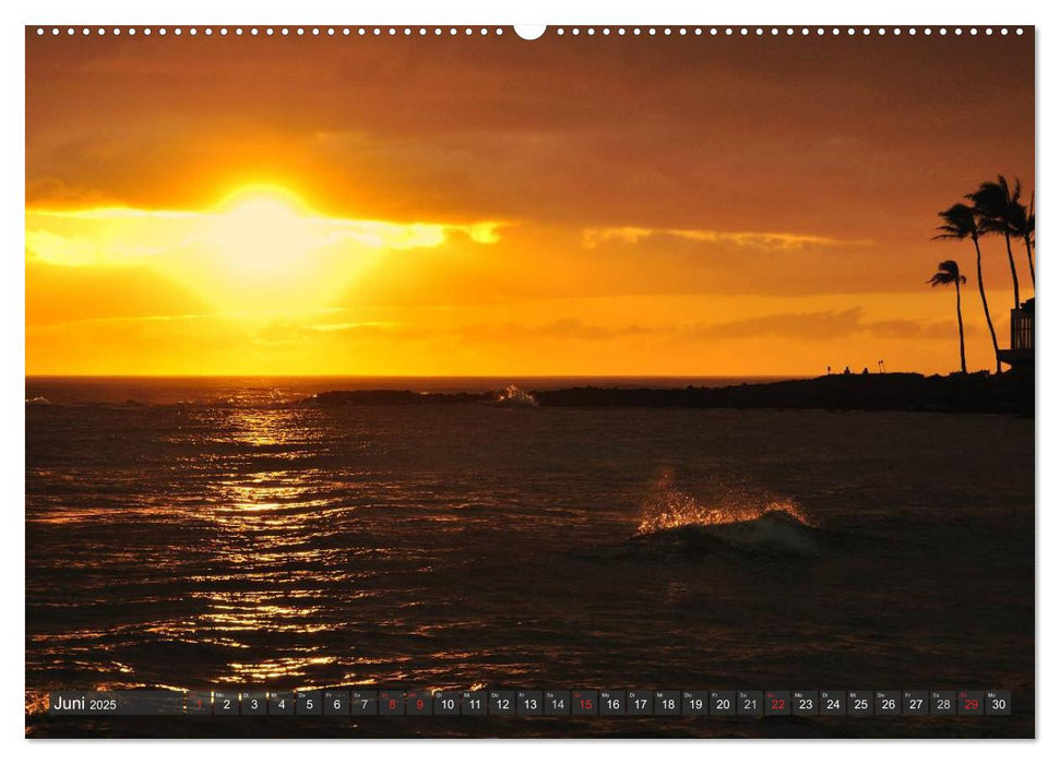 Ich will Meer ! (CALVENDO Premium Wandkalender 2025)