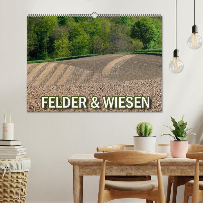 Felder und Wiesen (CALVENDO Wandkalender 2025)