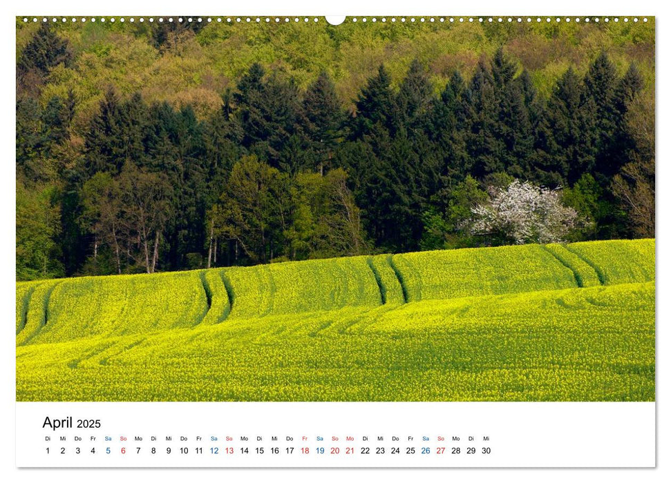 Felder und Wiesen (CALVENDO Wandkalender 2025)