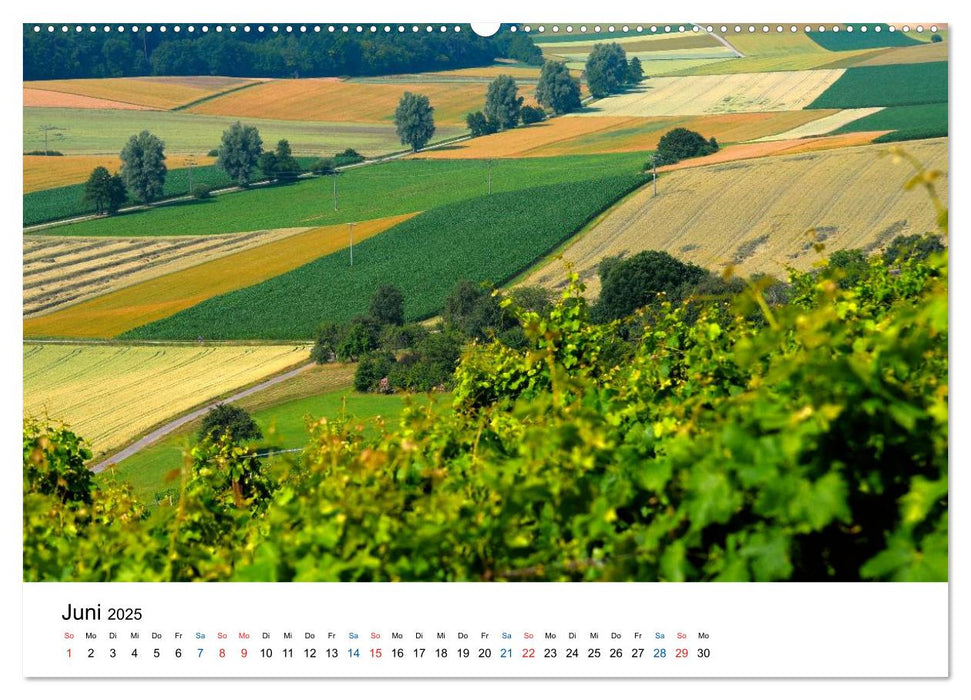 Felder und Wiesen (CALVENDO Wandkalender 2025)