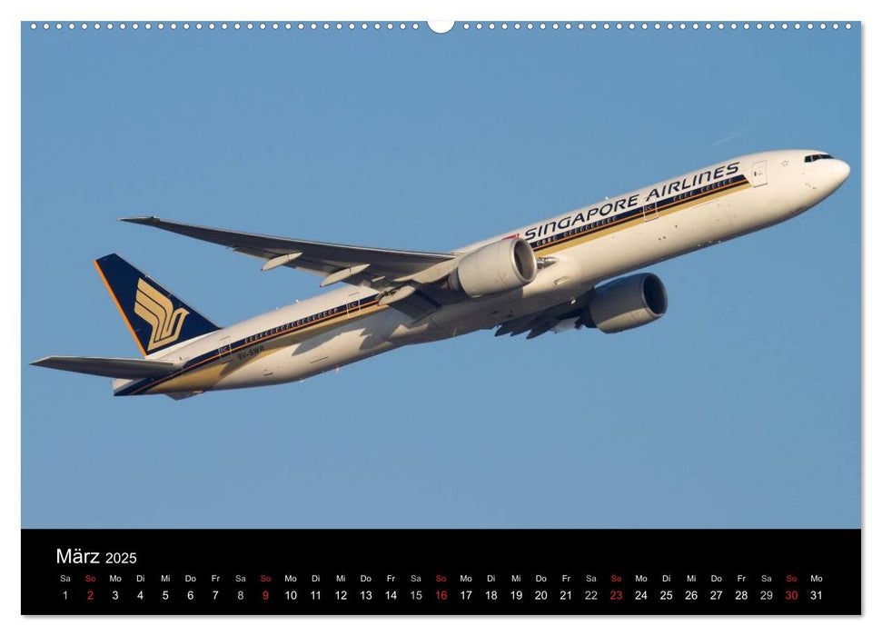 Welt der Flugzeuge (CALVENDO Premium Wandkalender 2025)