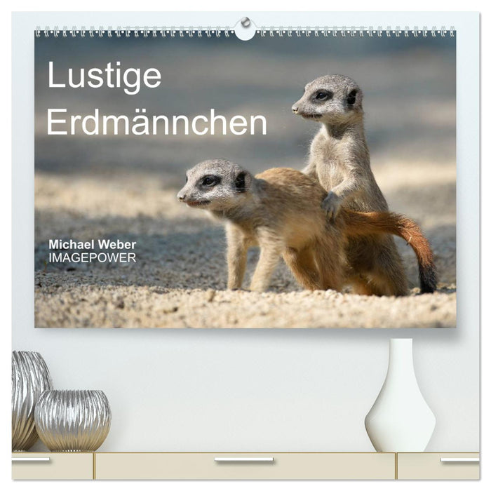 Lustige Erdmännchen (CALVENDO Premium Wandkalender 2025)