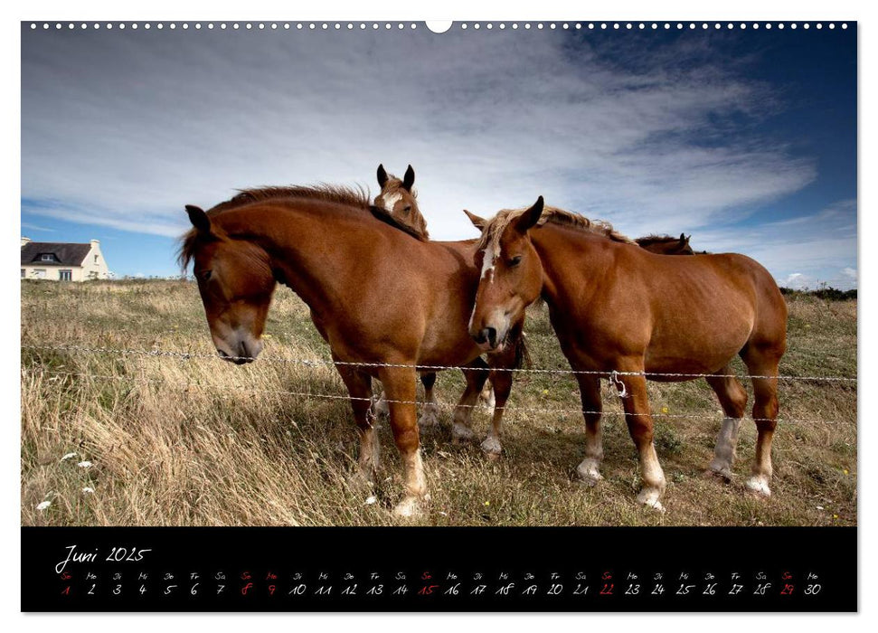 Frankreich Bretagne (CALVENDO Wandkalender 2025)