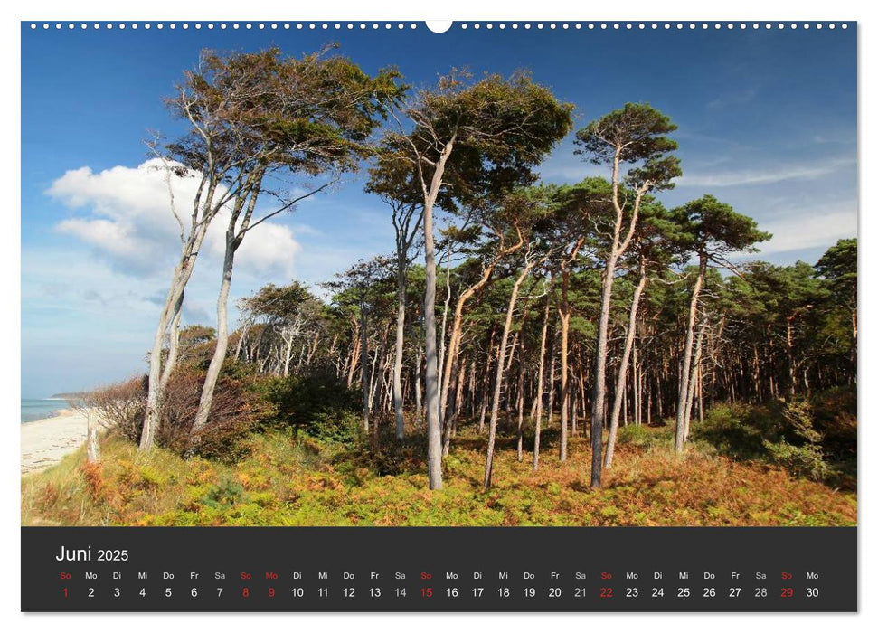 Mecklenburg-Vorpommern (CALVENDO Wandkalender 2025)