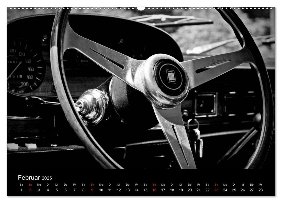 Lancia Flavia (CALVENDO Wandkalender 2025)