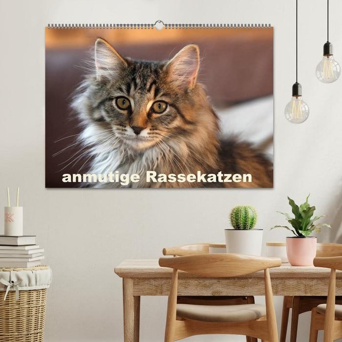 anmutige Rassekatzen (CALVENDO Wandkalender 2025)