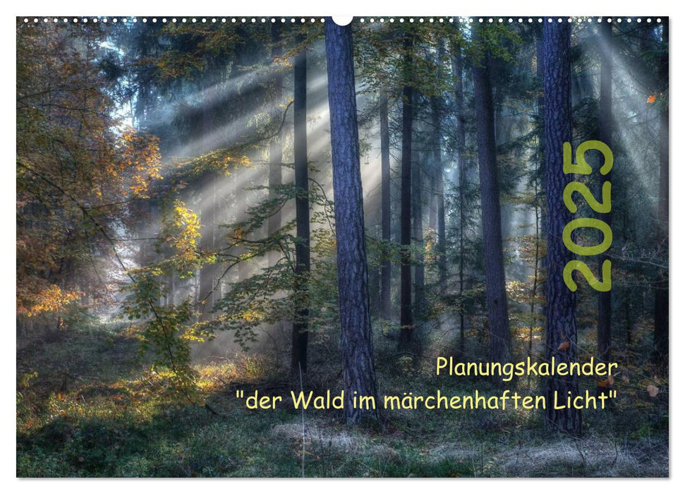 Planungskalender Märchenwald 2025 (CALVENDO Wandkalender 2025)