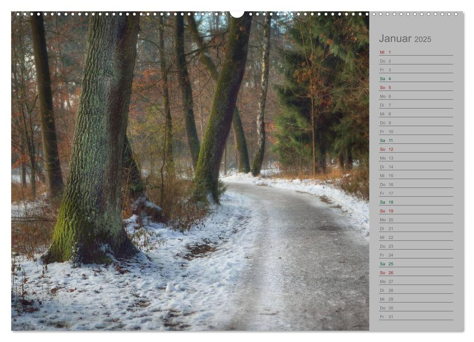 Planungskalender Märchenwald 2025 (CALVENDO Wandkalender 2025)
