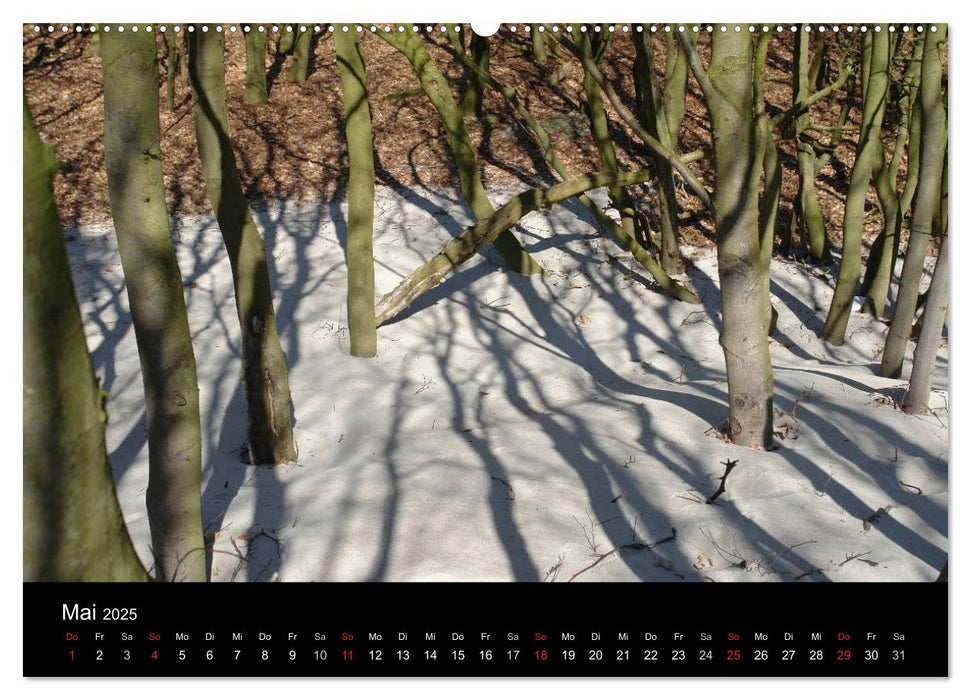 An der Ostsee (CALVENDO Premium Wandkalender 2025)