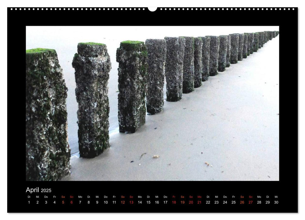 An der Nordsee (CALVENDO Premium Wandkalender 2025)