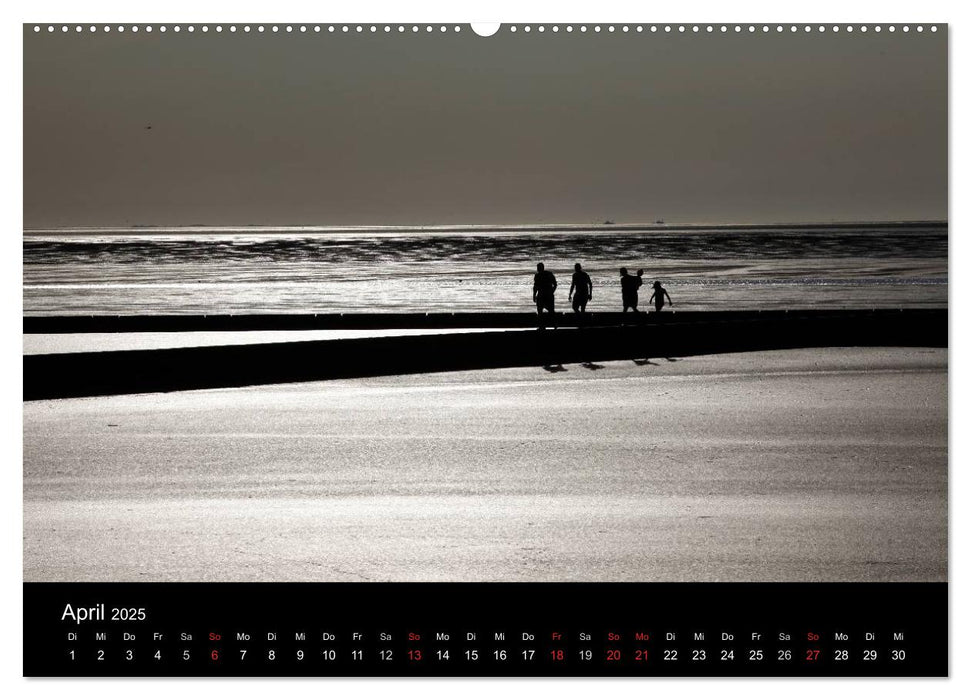 Wattenmeer (CALVENDO Premium Wandkalender 2025)