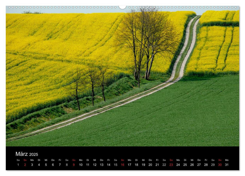 Wege 2025 (CALVENDO Premium Wandkalender 2025)