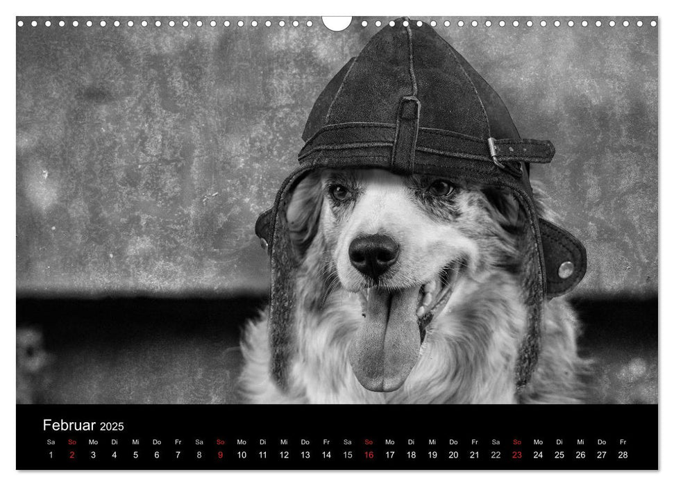 Hütehunde (CALVENDO Wandkalender 2025)