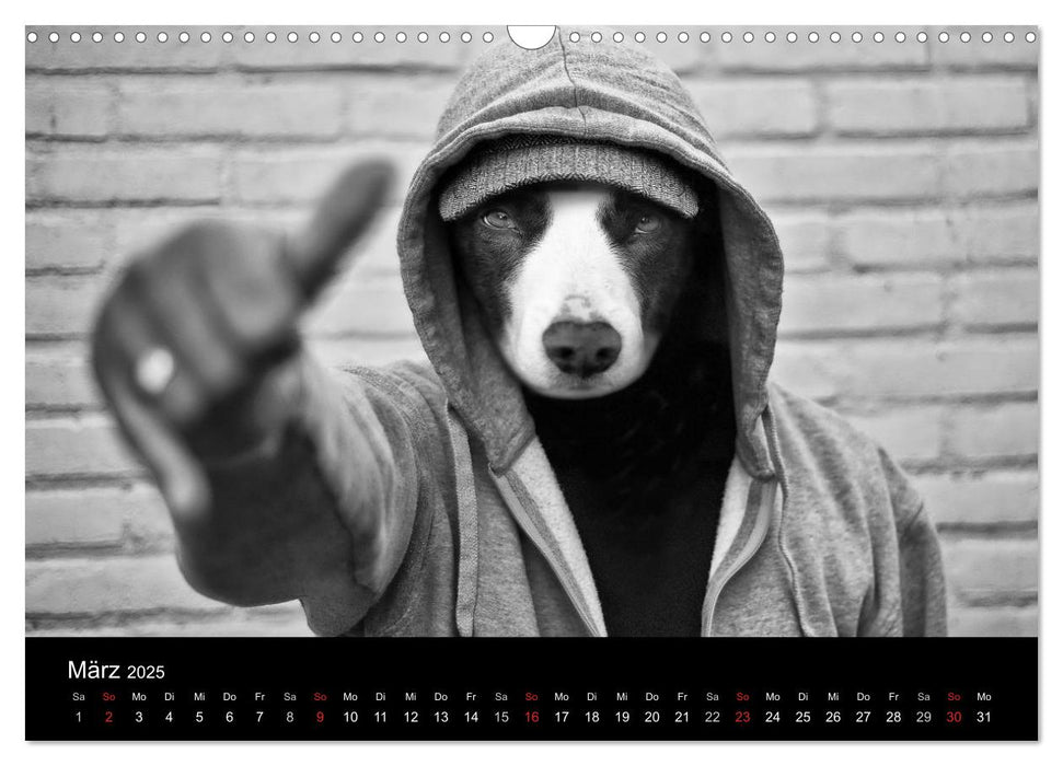 Hütehunde (CALVENDO Wandkalender 2025)