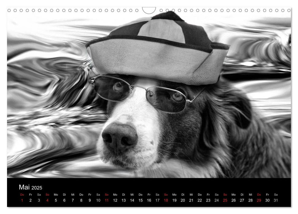 Hütehunde (CALVENDO Wandkalender 2025)