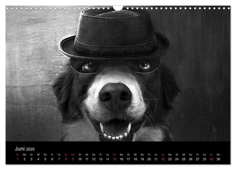 Hütehunde (CALVENDO Wandkalender 2025)