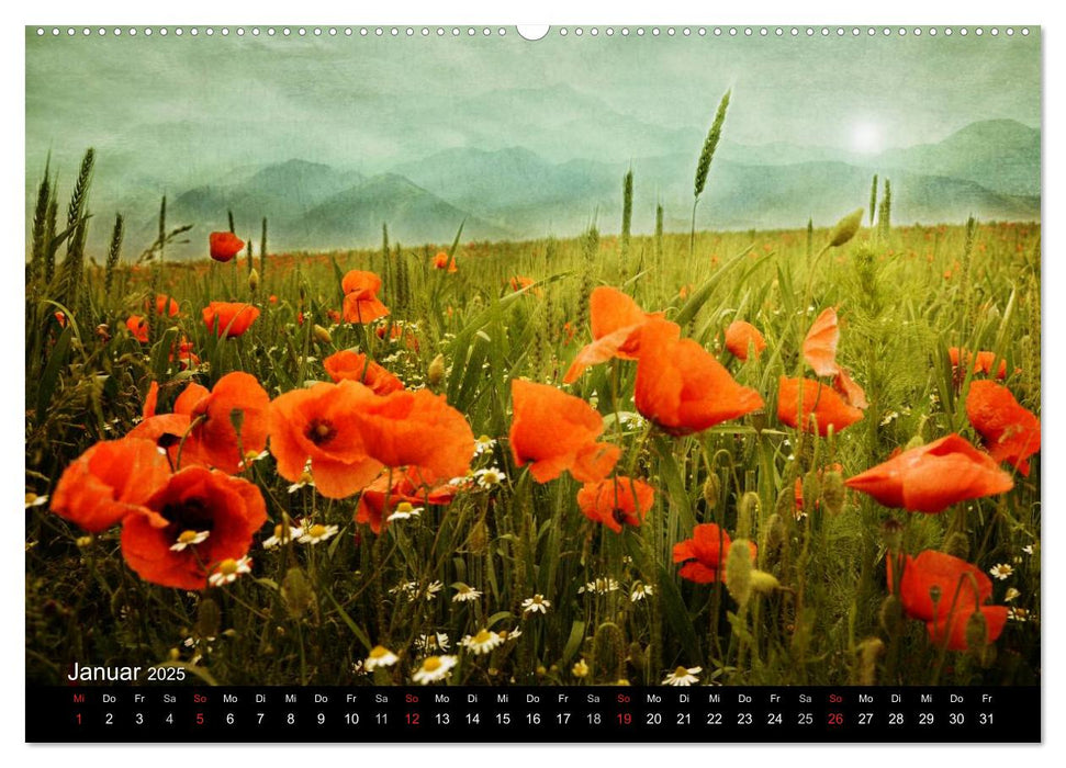 Traumwelt MOHN (CALVENDO Premium Wandkalender 2025)