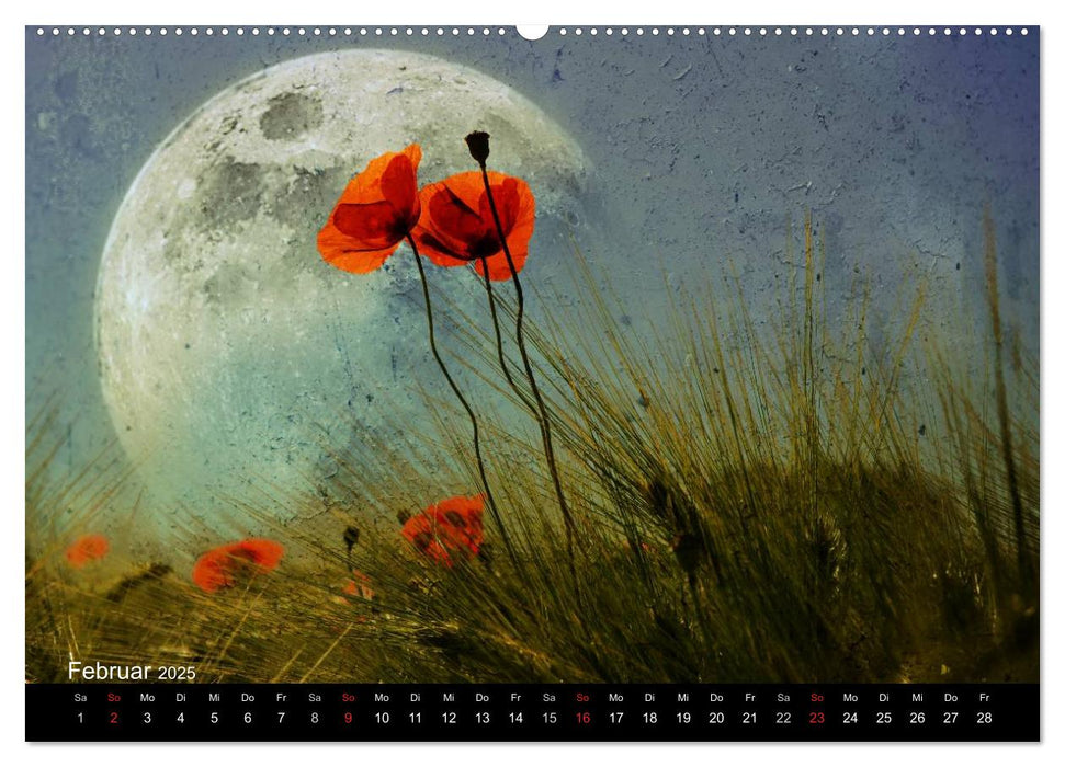 Traumwelt MOHN (CALVENDO Premium Wandkalender 2025)