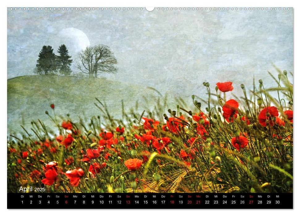 Traumwelt MOHN (CALVENDO Premium Wandkalender 2025)