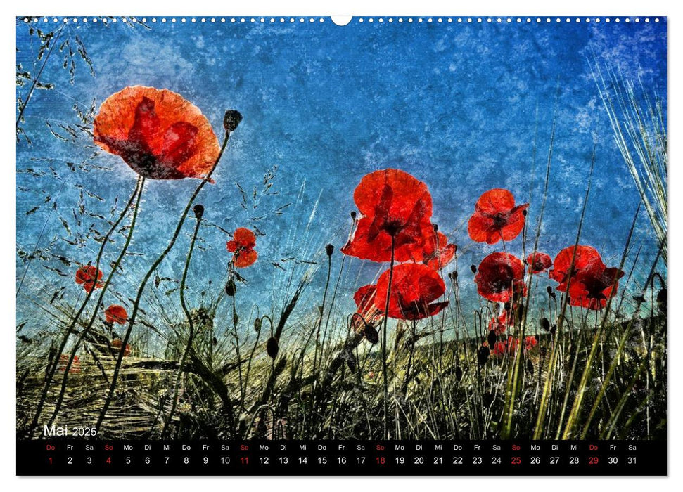 Traumwelt MOHN (CALVENDO Premium Wandkalender 2025)