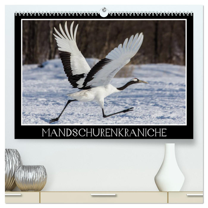 Mandschurenkraniche (CALVENDO Premium Wandkalender 2025)