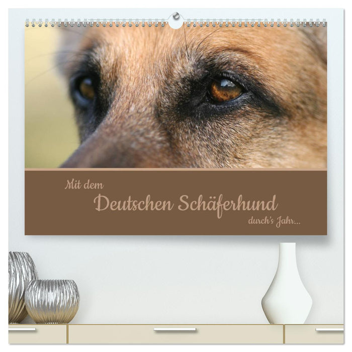 Mit dem Deutschen Schäferhund durch's Jahr (CALVENDO Premium Wandkalender 2025)