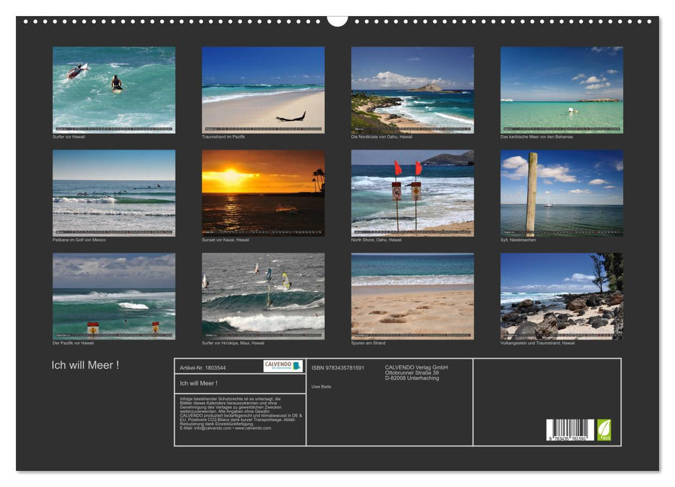 Ich will Meer ! (CALVENDO Wandkalender 2025)