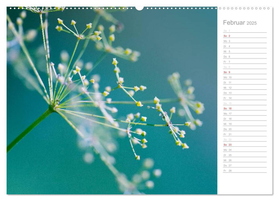 Naturfarben (CALVENDO Premium Wandkalender 2025)