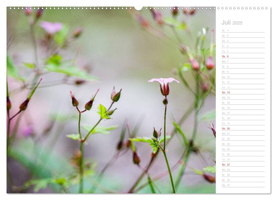 Naturfarben (CALVENDO Premium Wandkalender 2025)