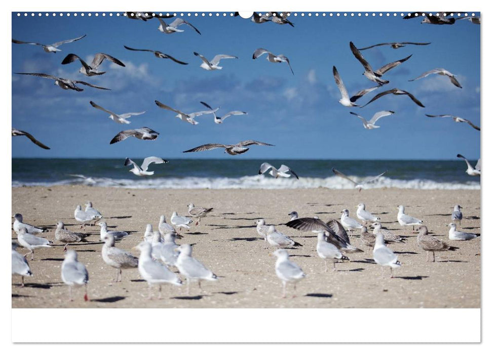 Frankreich Normandie (CALVENDO Premium Wandkalender 2025)