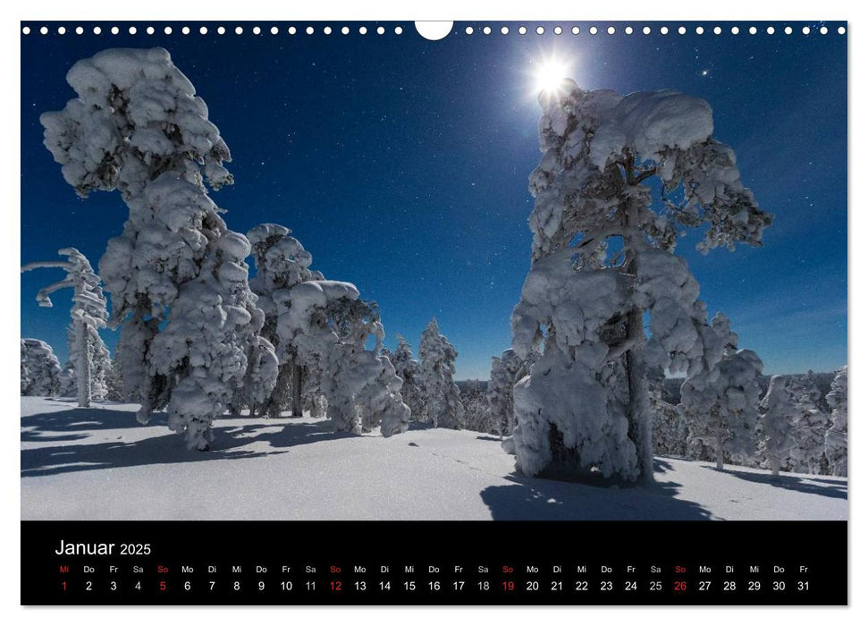 Starry Nightscapes 2025 (CALVENDO Wandkalender 2025)