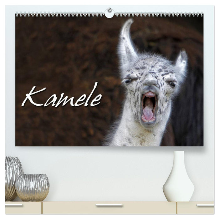 Kamele (CALVENDO Premium Wandkalender 2025)