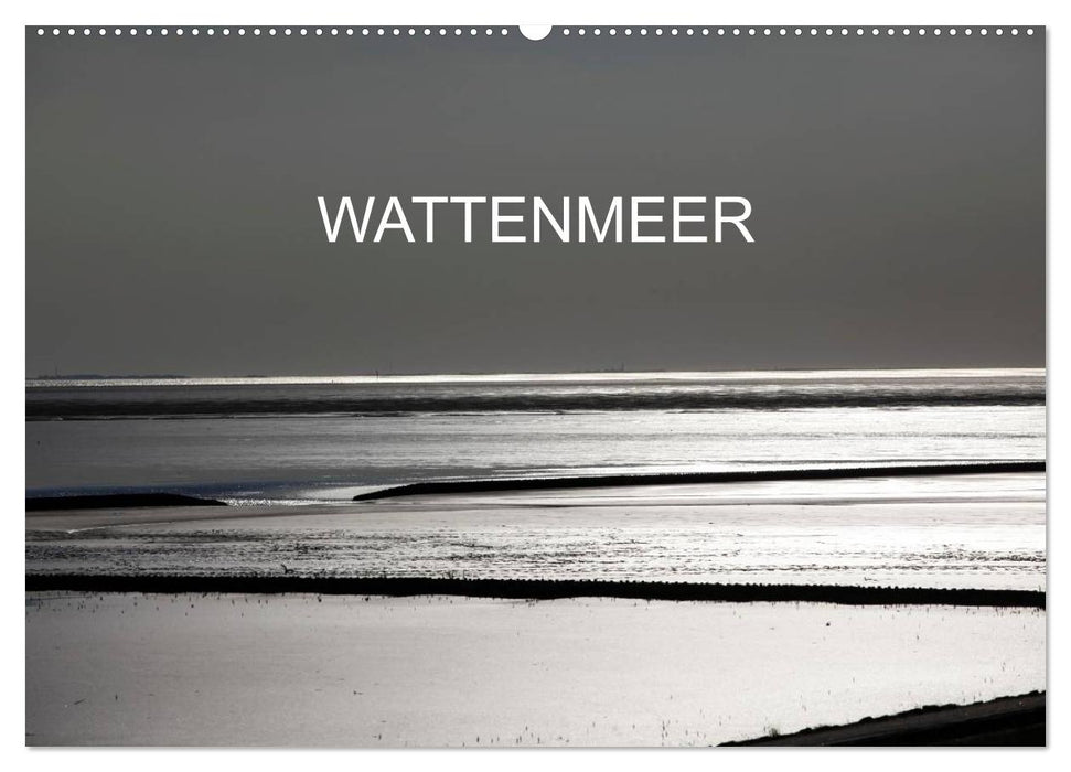 Wattenmeer (CALVENDO Wandkalender 2025)