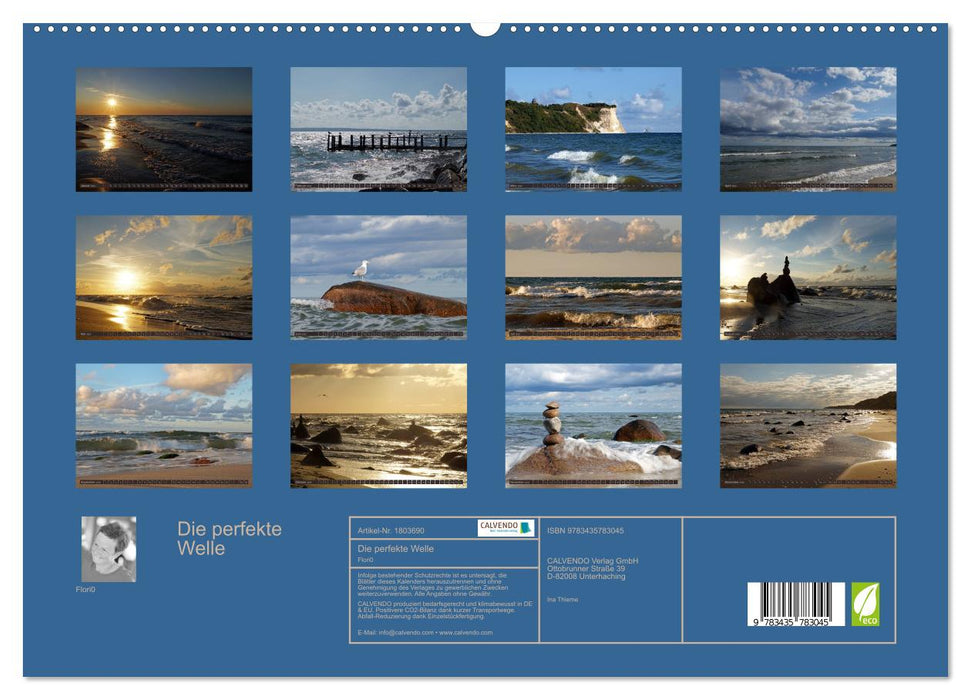 Die perfekte Welle (CALVENDO Premium Wandkalender 2025)