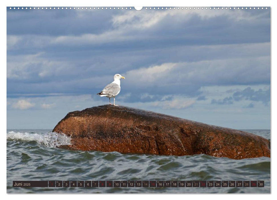 Die perfekte Welle (CALVENDO Premium Wandkalender 2025)