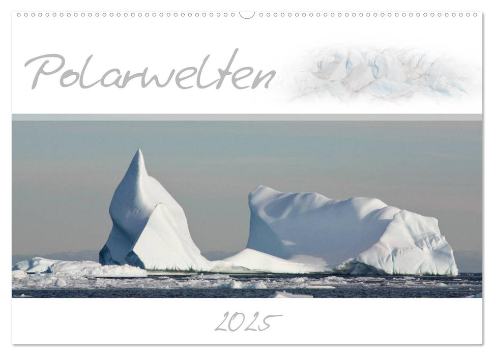 Polarwelten (CALVENDO Wandkalender 2025)