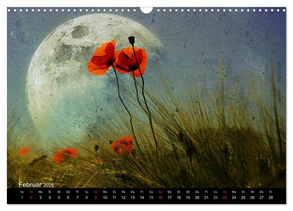 Traumwelt MOHN (CALVENDO Wandkalender 2025)