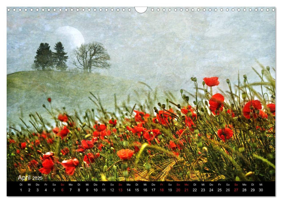 Traumwelt MOHN (CALVENDO Wandkalender 2025)