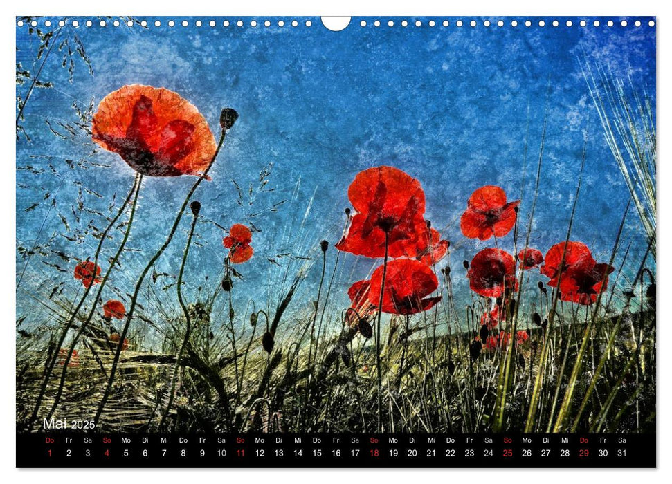 Traumwelt MOHN (CALVENDO Wandkalender 2025)