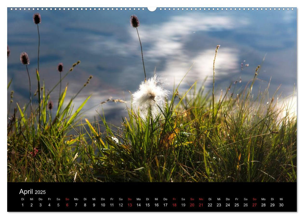 Norwegen - Alpine Landschaften (CALVENDO Premium Wandkalender 2025)