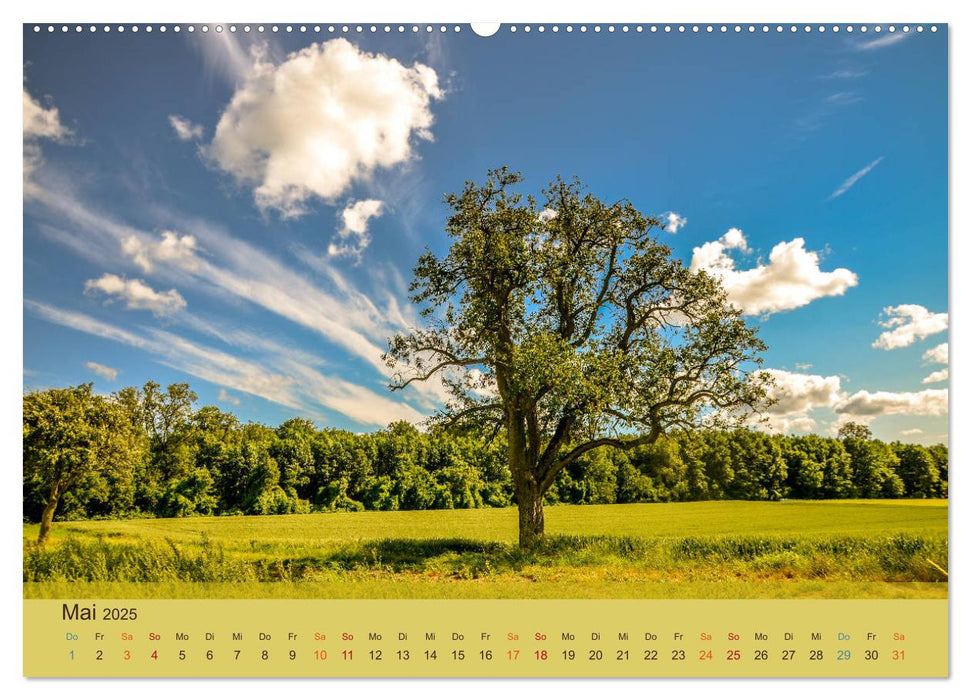 Wolken fliegen überall hin (CALVENDO Premium Wandkalender 2025)