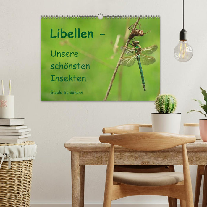 Libellen - Unsere schönsten Insekten (CALVENDO Wandkalender 2025)