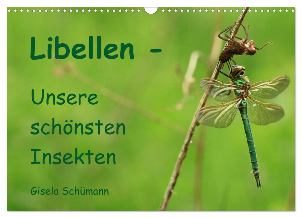 Libellen - Unsere schönsten Insekten (CALVENDO Wandkalender 2025)